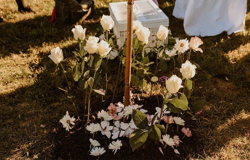 Benefits of Ecoforest Cemeteries for Sustainable Burials