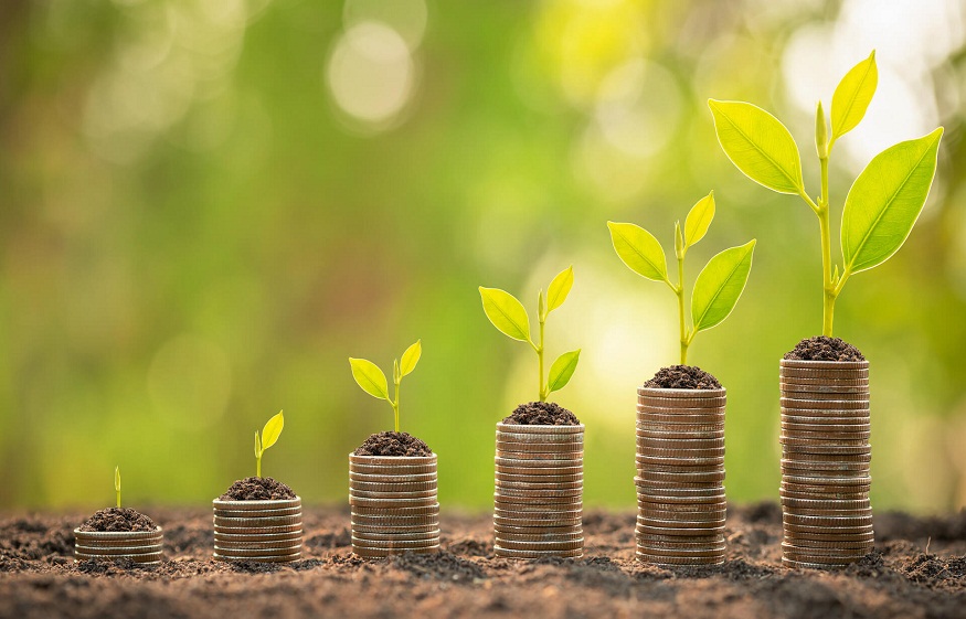 How Diversification Can Protect and Grow Your Wealth