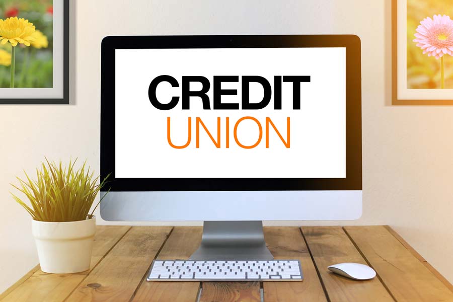 Understanding How Credit Unions Work and the Services They Provide